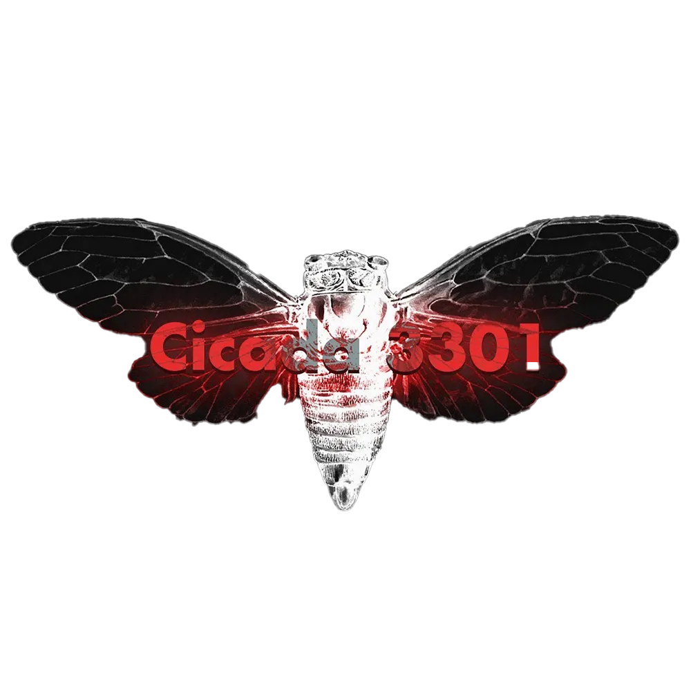 Cicada 3301 png