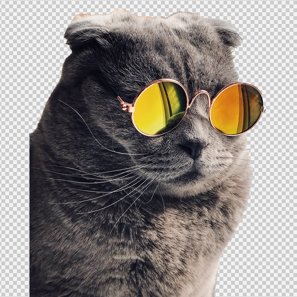 meme cat png, Black Cat PNG Transparent Image for Free Download, Cute Cat PNG, 
