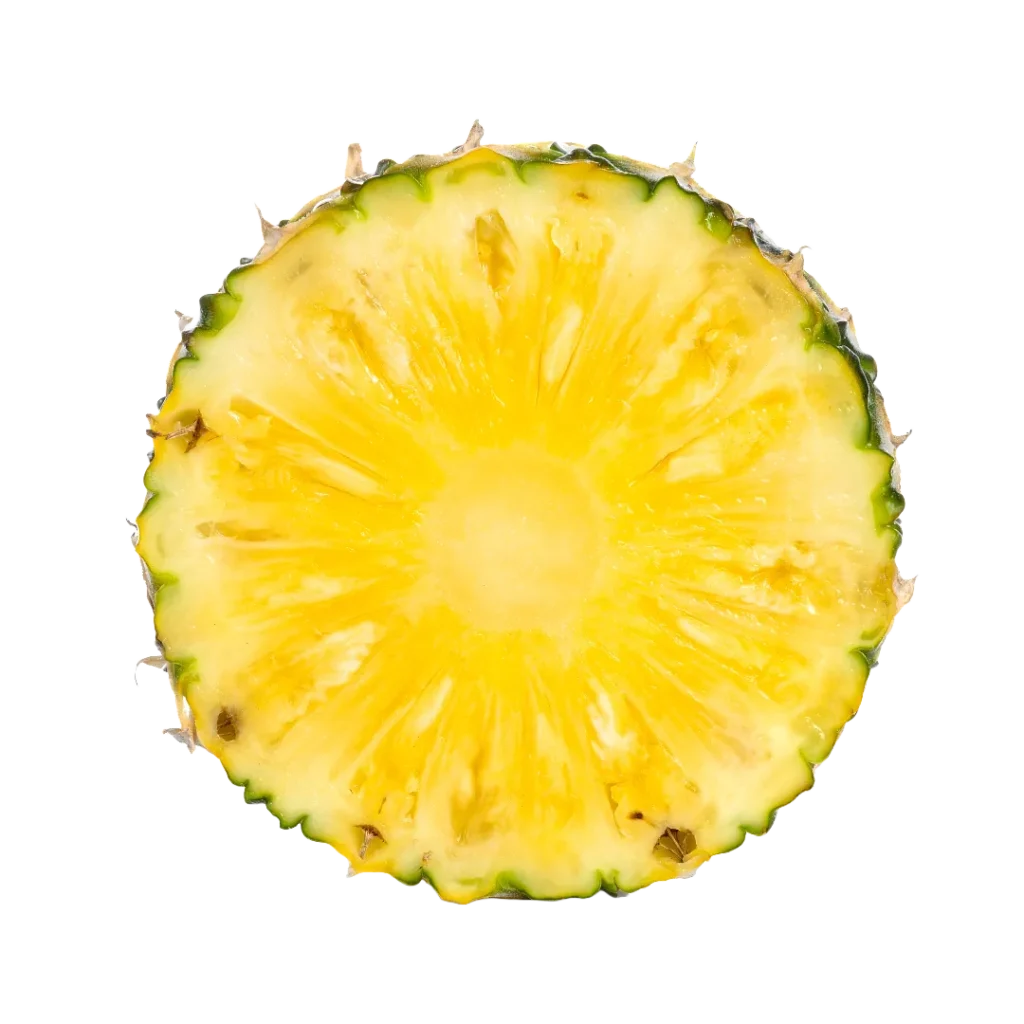 Pineapple Circular Slice PNG