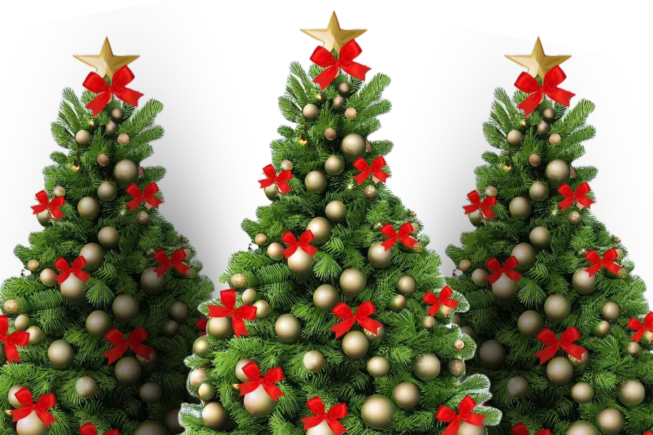 Three Christmas Trees PNG