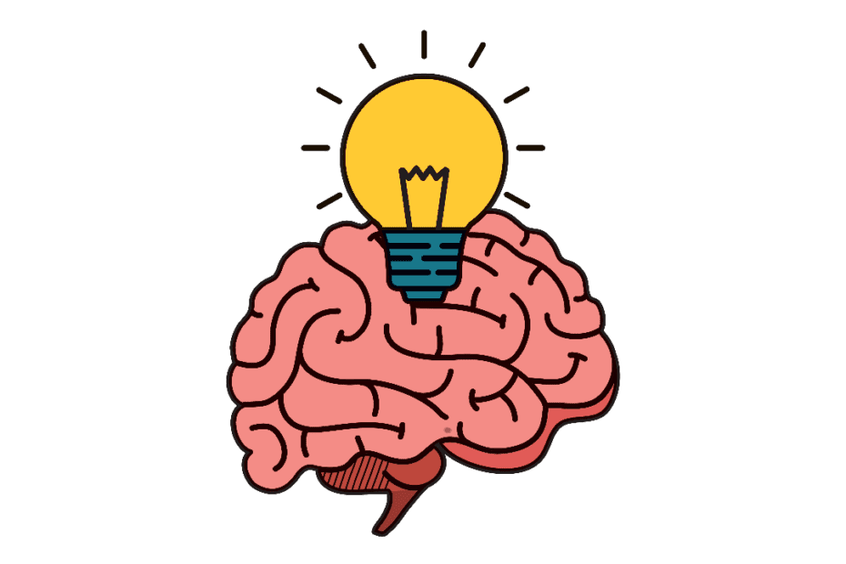 Brain Clipart PNG
